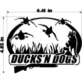 DUCKS AND DOGS
